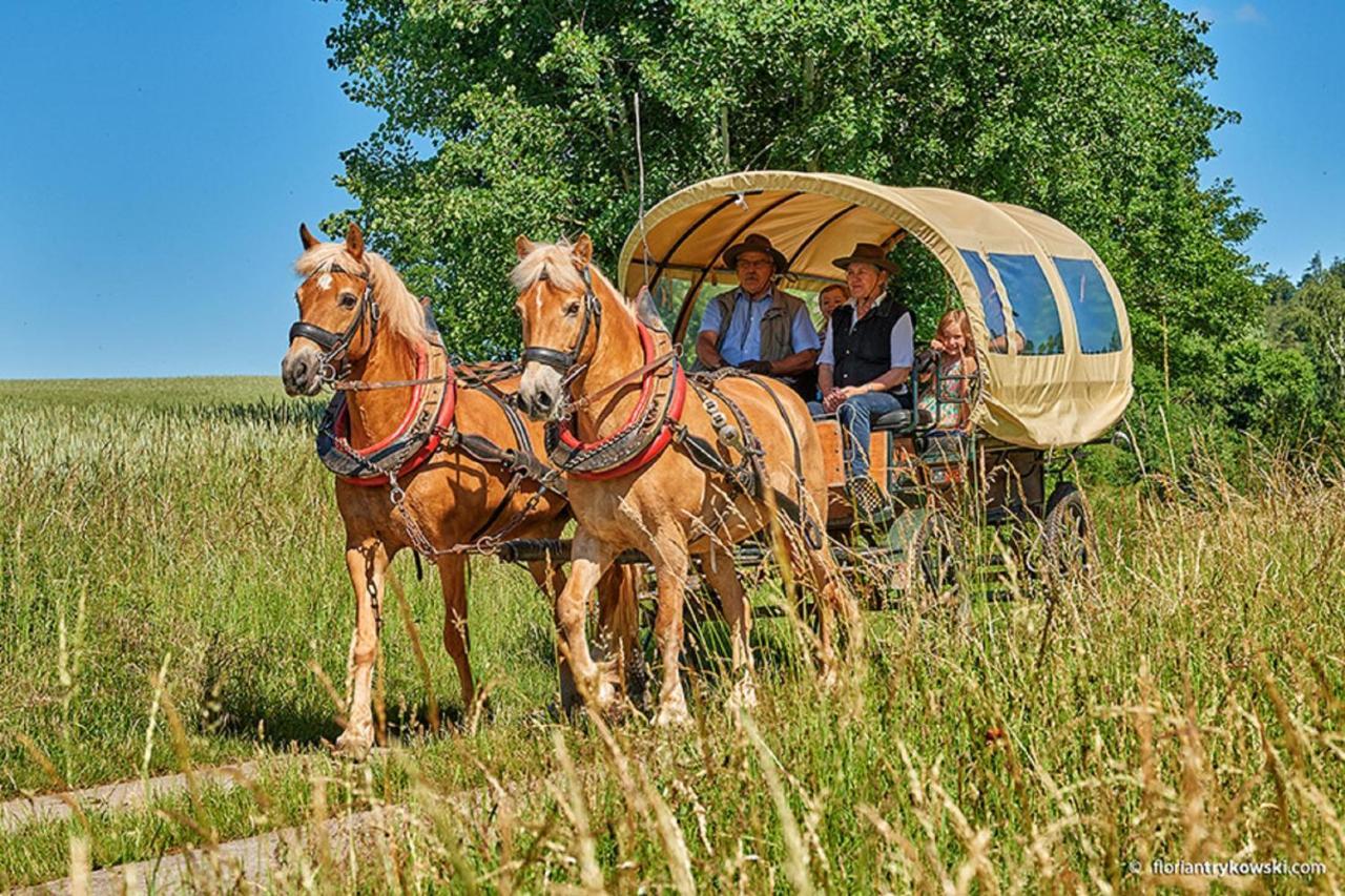 Appartamento Haflingerhof Galster Markt Taschendorf Esterno foto